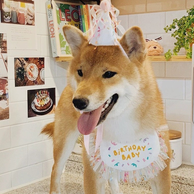 Pet Birthday Hat & Bib Set | 宠物生日帽 & 围兜