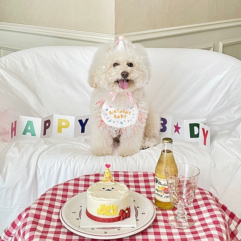 Pet Birthday Hat & Bib Set | 宠物生日帽 & 围兜