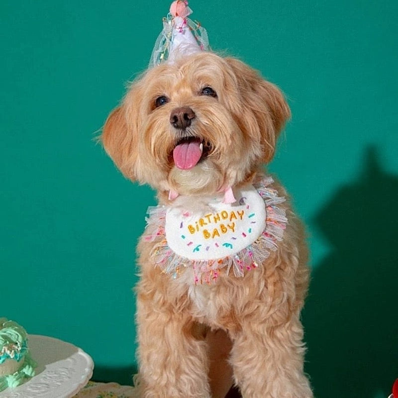 Pet Birthday Hat & Bib Set | 宠物生日帽 & 围兜
