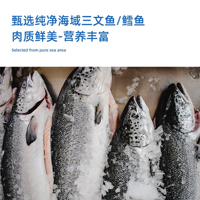 Fisherman Pet Freeze-dried fish floss 8g | 渔夫牧场冻干鱼肉松 三文鱼or鳕鱼口味