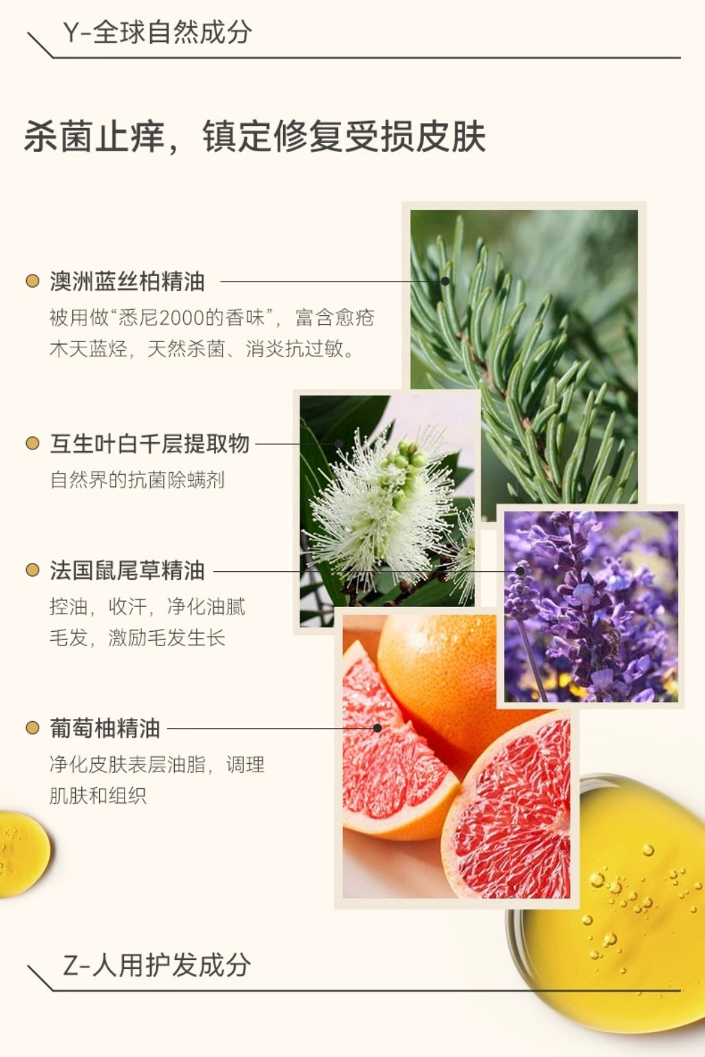 AMO PETRIC No-Washing SPA Glove | 阿默蓝丝柏宠物免洗手套湿巾
