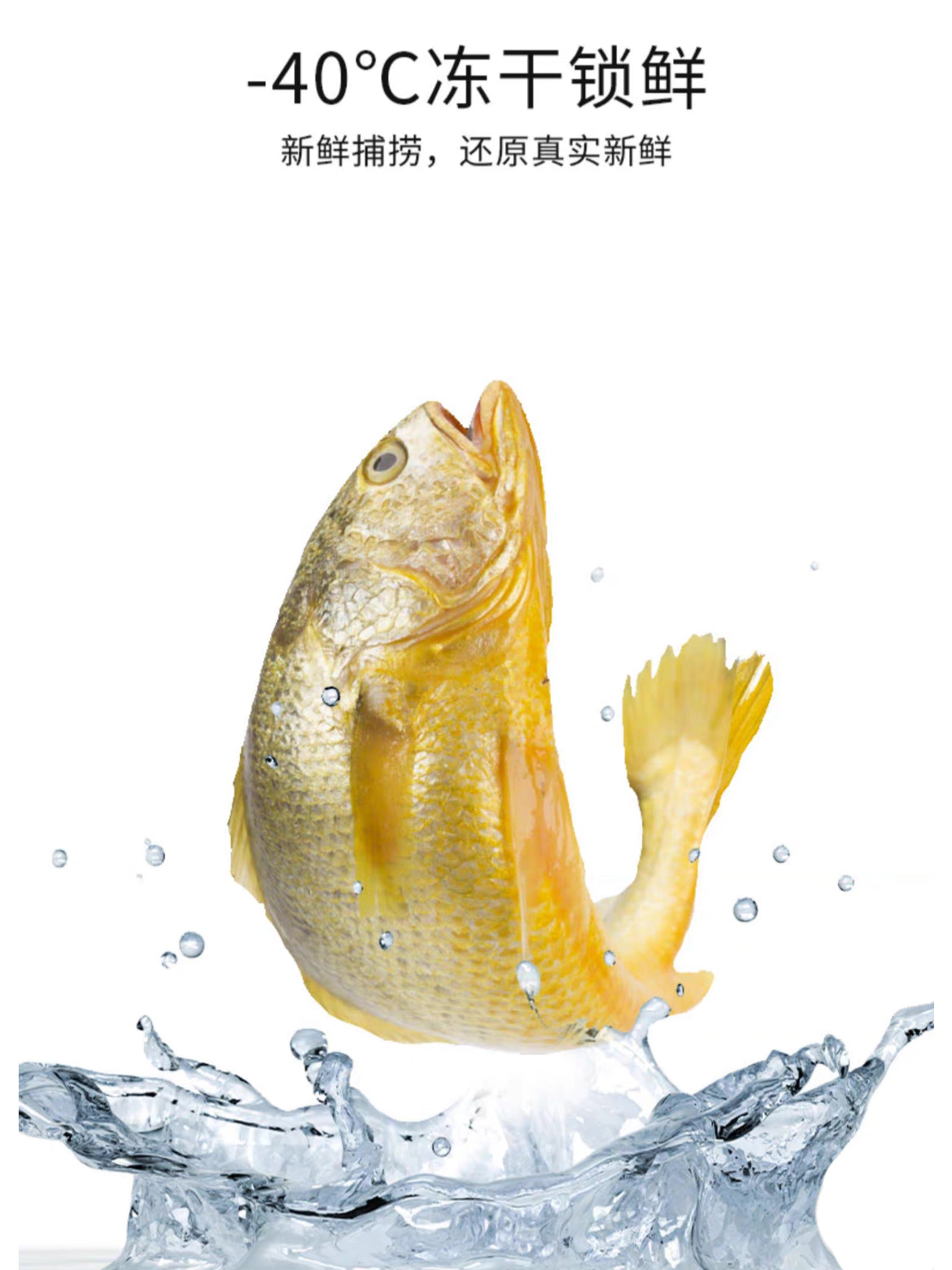 Fisherman Pet Freeze-dried Little Yellow Croaker | 渔夫牧场冻干小黄鱼