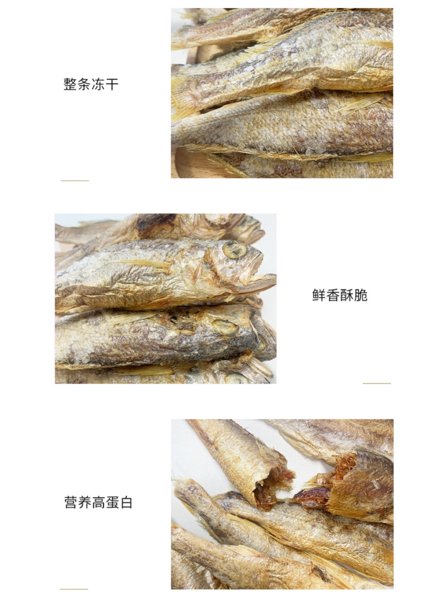 Fisherman Pet Freeze-dried Little Yellow Croaker | 渔夫牧场冻干小黄鱼