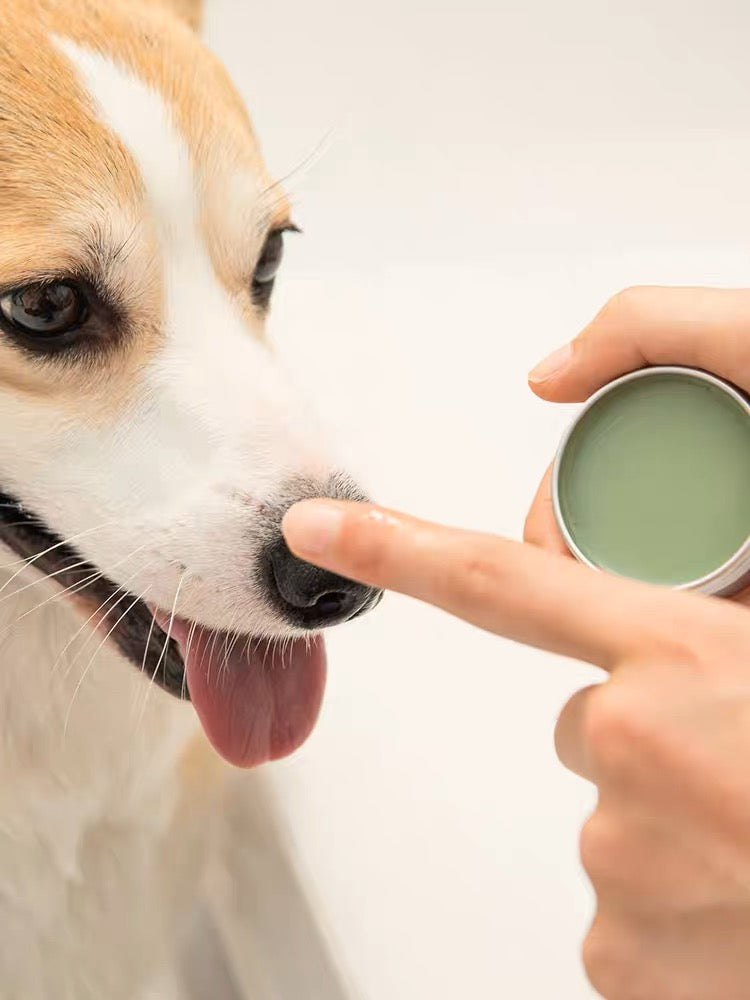 AMO PETRIC Snout Soother 10ml | 阿默牛油果润鼻膏
