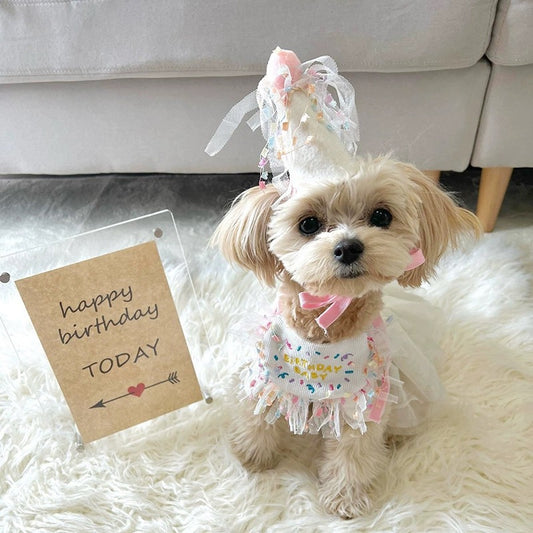 Pet Birthday Hat & Bib Set | 宠物生日帽 & 围兜