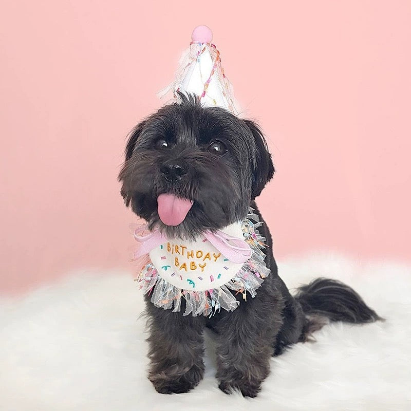 Pet Birthday Hat & Bib Set | 宠物生日帽 & 围兜